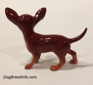 The right side of a brown with white Chihuahua figurine. The figurine has tan paws.